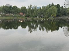 -武汉园博园(武汉自然博物馆)