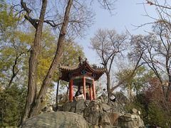 -莲湖公园