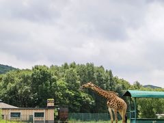 -哈尔滨北方森林动物园