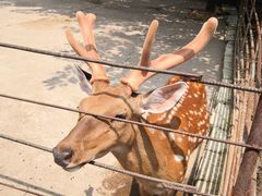 -祥源·阜阳生态乐园