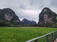 -明仕田园