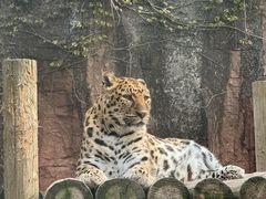 -杭州野生动物世界