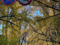 -四川大学(华西校区)