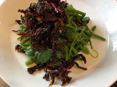 昭通椒丝油鸡枞麦瓜尖-泓0871臻选云南菜·味庄