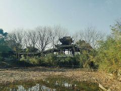 -西溪国家湿地公园