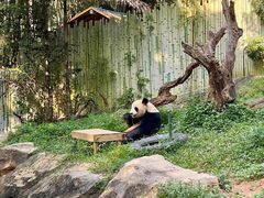-广州长隆野生动物世界
