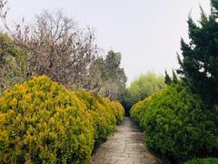 -浮来山风景区