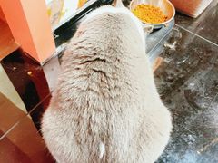 -暗楼·剧本杀·桌游