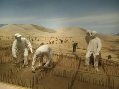 -恩格贝生态旅游区