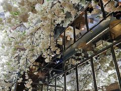 -大树餐厅(红旗街万达店)