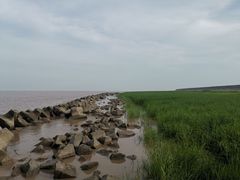 -南汇嘴观海公园