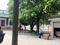 -悦城龙母祖庙