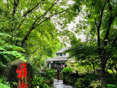 -西溪国家湿地公园