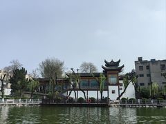 -莲湖公园