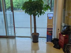 -爱康国宾体检中心(总部基地分院)