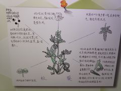 -上海昆虫博物馆