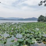 苏州石湖馄饨