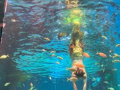 -海合安青岛极地海洋公园