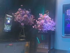 -方糖KTV-PLUS(世茂广场店)