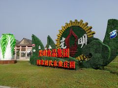 -上海都市菜园