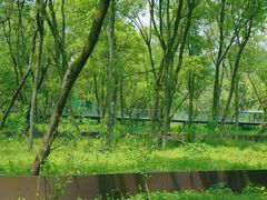 -西湖风景区-江洋畈生态公园