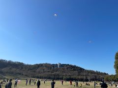-羊山湖公园