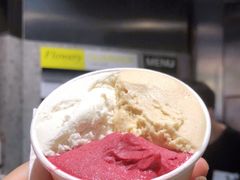 -Dip in Gelato(富民路店)