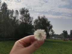 -大连铭湖国际观光牧场