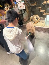 -造物庄园 萌宠纪(苏州湾歌林公园店)