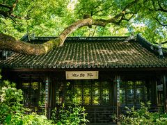 -上海醉白池公园