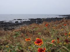 -Cafe Aewol Monsant