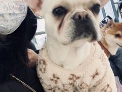 -怪兽屋·羊驼·猫咖·狗咖(俊华广场店)