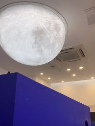 -CIT造型·烫发·染发