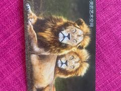 -罗红摄影艺术馆