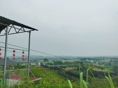 -川南大草原