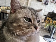 -平行世界·猫咖(首经贸店)