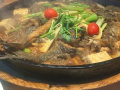 -老板恋上鱼(恒隆广场店)