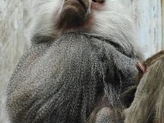 -青藏高原野生动物园