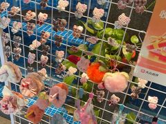 -涿派·炝锅鱼(涿州店)