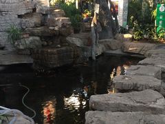 -森谷美食公园(杨行店)
