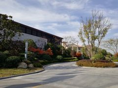 -上海崇明金茂凯悦酒店