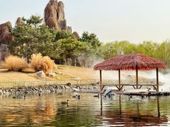 -北京野生动物园