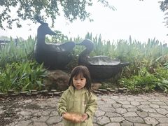 -东湖落雁景区