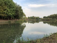 -尚贤河湿地