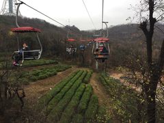 -青岛中山公园-索道售票处