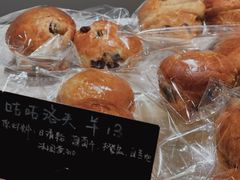 -Seeking Coffee咖啡(新竹路店)