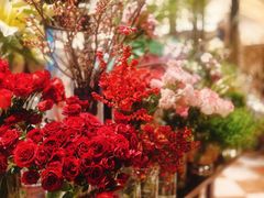 -深圳威尼斯英迪格酒店