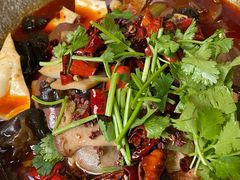 精品毛血旺-成都驻京办餐厅(蜀都宾馆店)