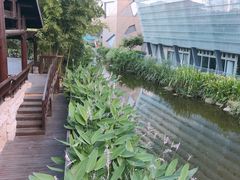 -活水公园