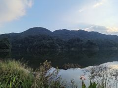 -广州市石门国家森林公园